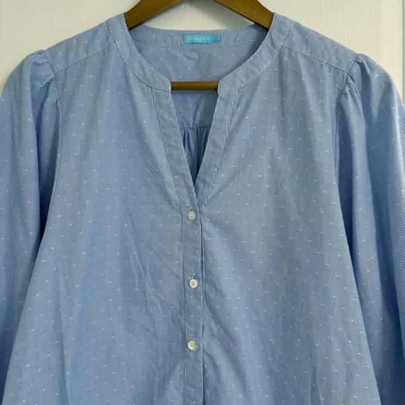 J. McLaughlin Megyn Swiss Dot Stripe Shirt Medium Blue - Picture 3 of 9